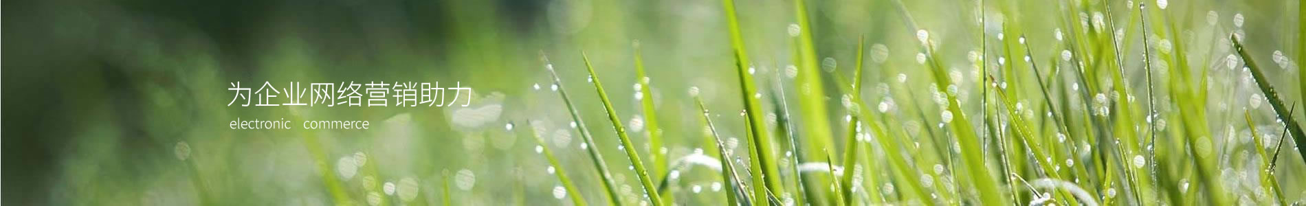 ݹҿƼ޹˾